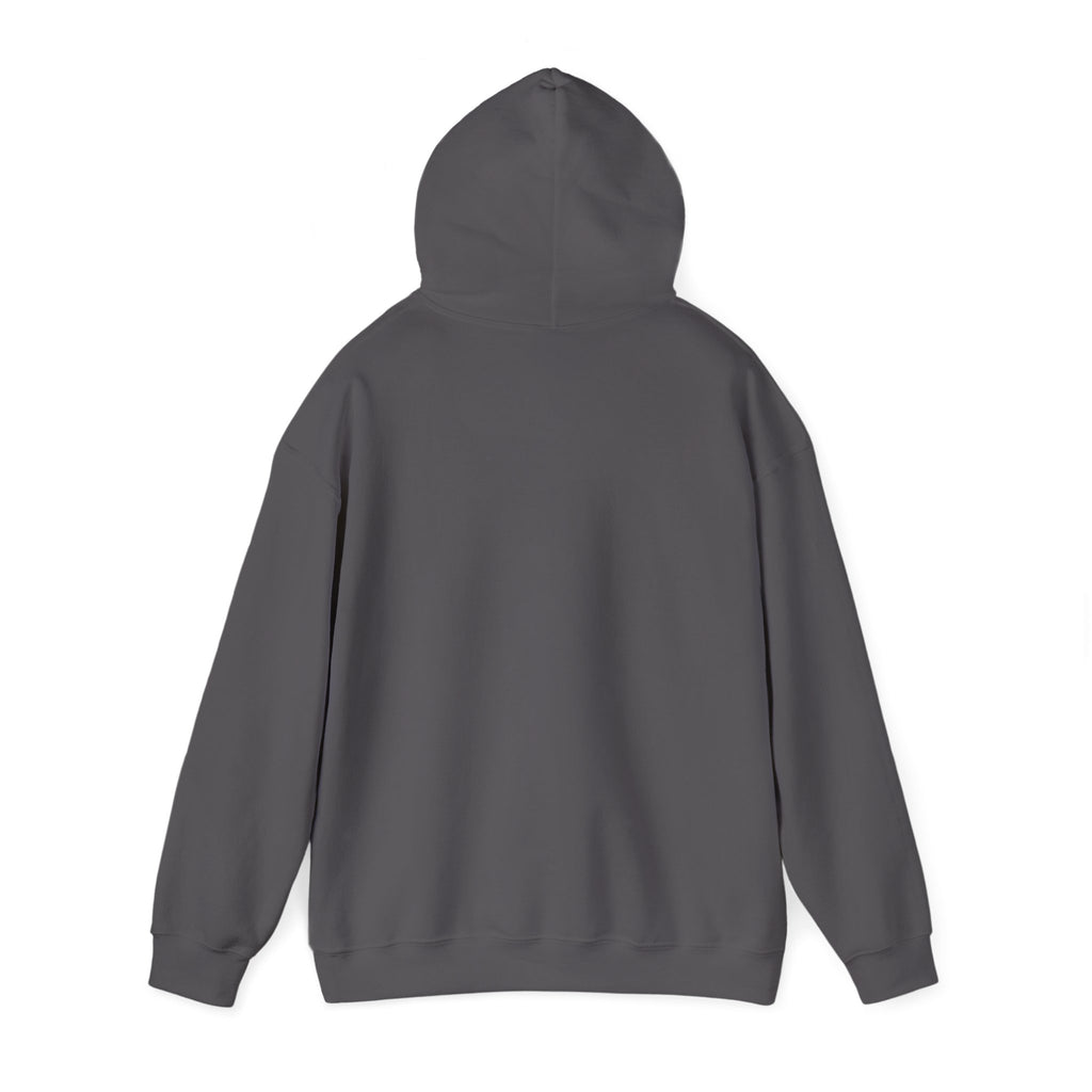 ALEXA, Drop Them Off Hoodie | Funny Alexa Quote Sweatshirt