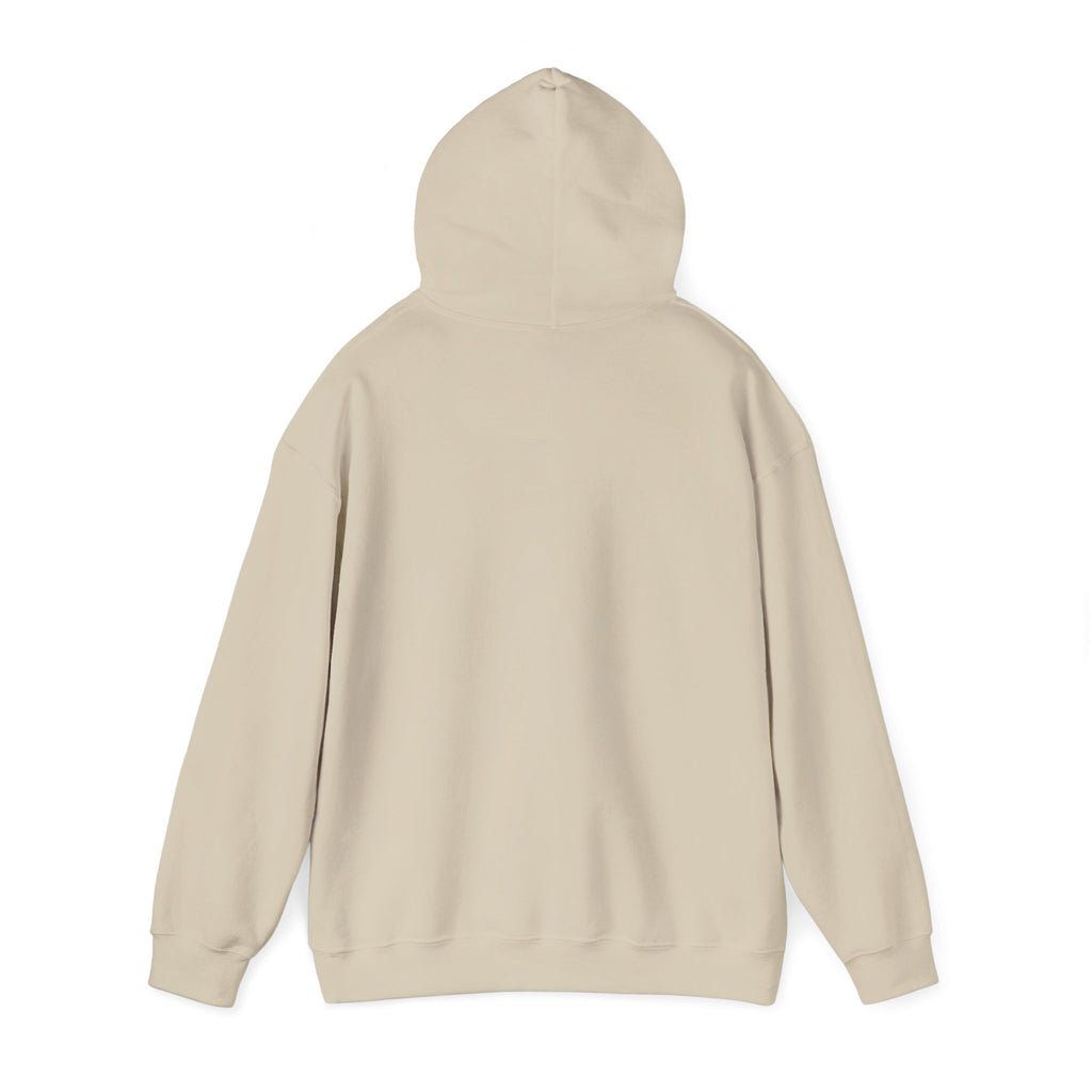 ALEXA, Drop Them Off Hoodie | Funny Alexa Quote Sweatshirt