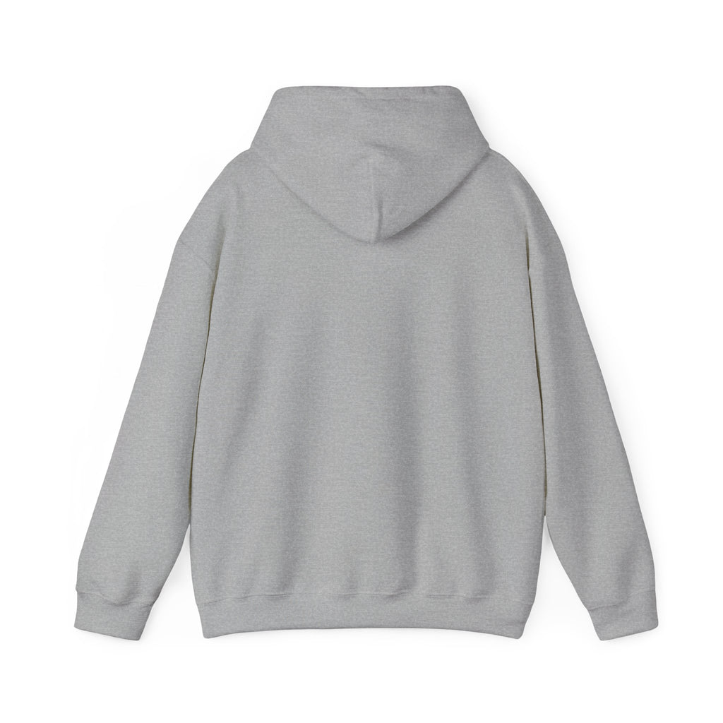 ALEXA, Drop Them Off Hoodie | Funny Alexa Quote Sweatshirt