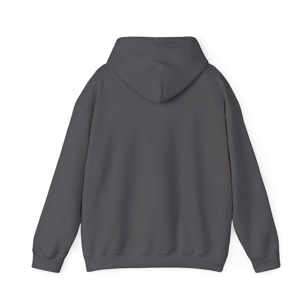 ALEXA, Drop Them Off Hoodie | Funny Alexa Quote Sweatshirt