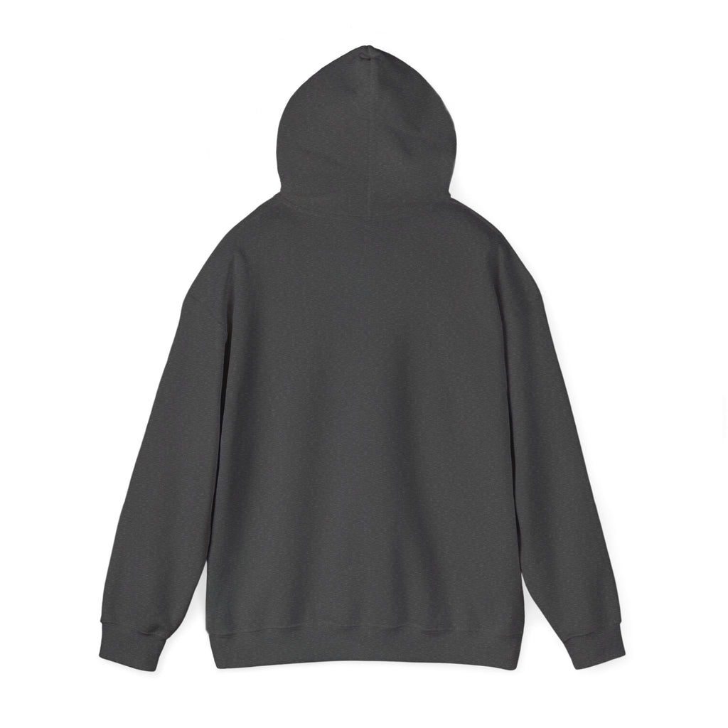 ALEXA, Drop Them Off Hoodie | Funny Alexa Quote Sweatshirt