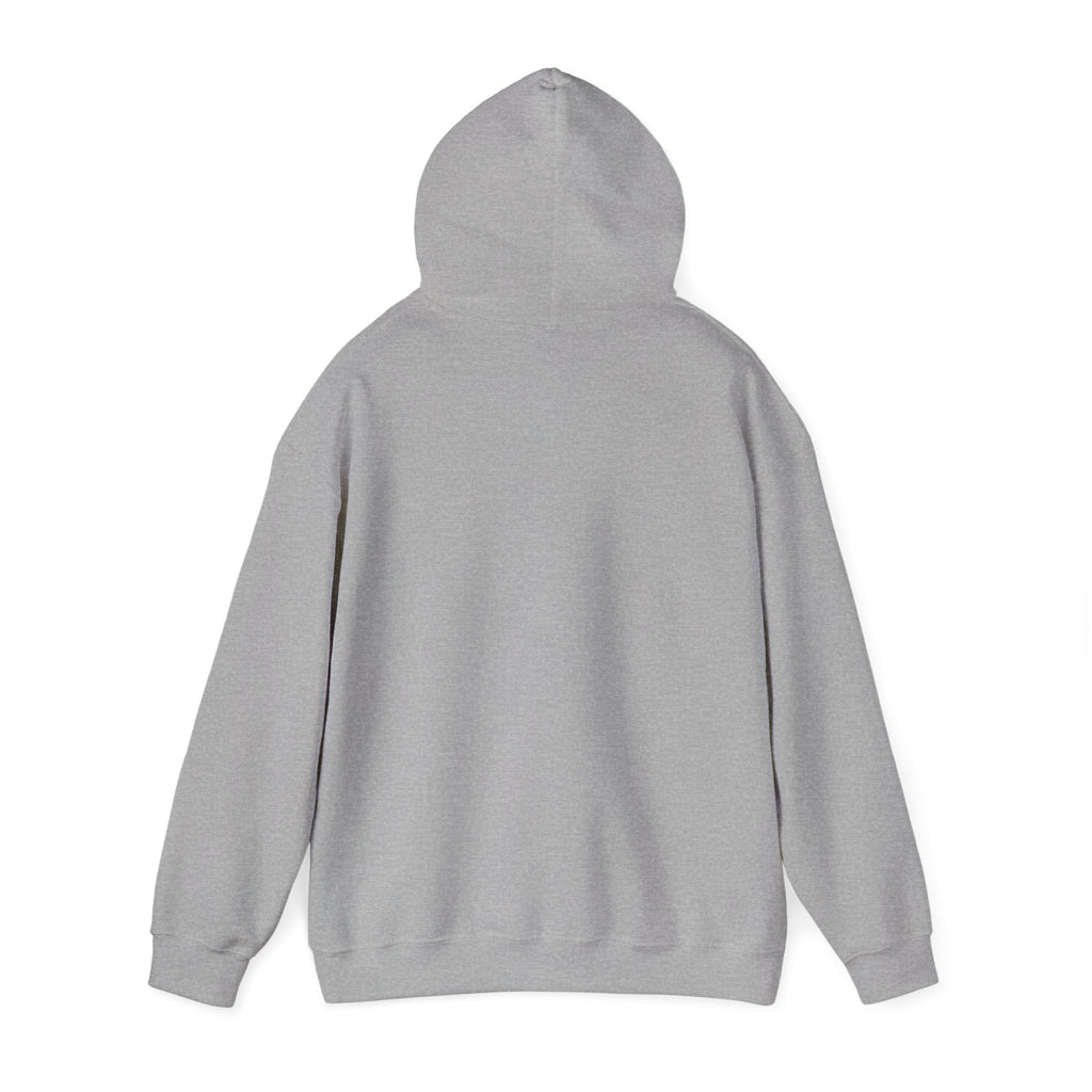 ALEXA, Drop Them Off Hoodie | Funny Alexa Quote Sweatshirt